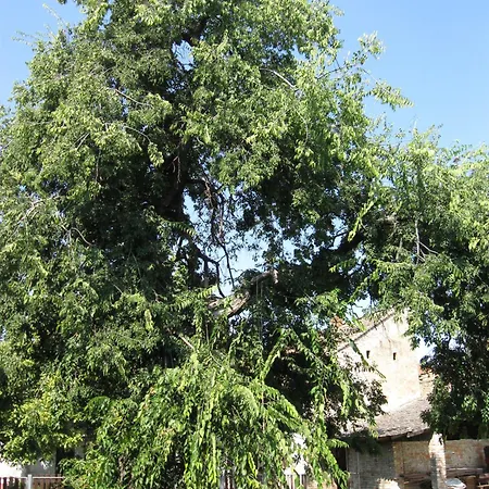 Relax House Ina דירה Novi Bečej