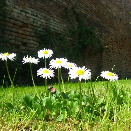 Relax House Ina דירה